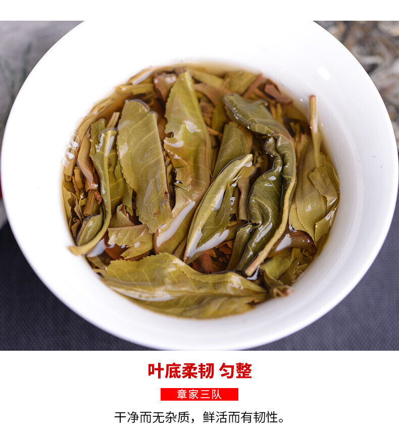 Haiwan Zhang Jia San Dui Puer Raw Tea Bulang Famous Mountain Aged Tree 500g