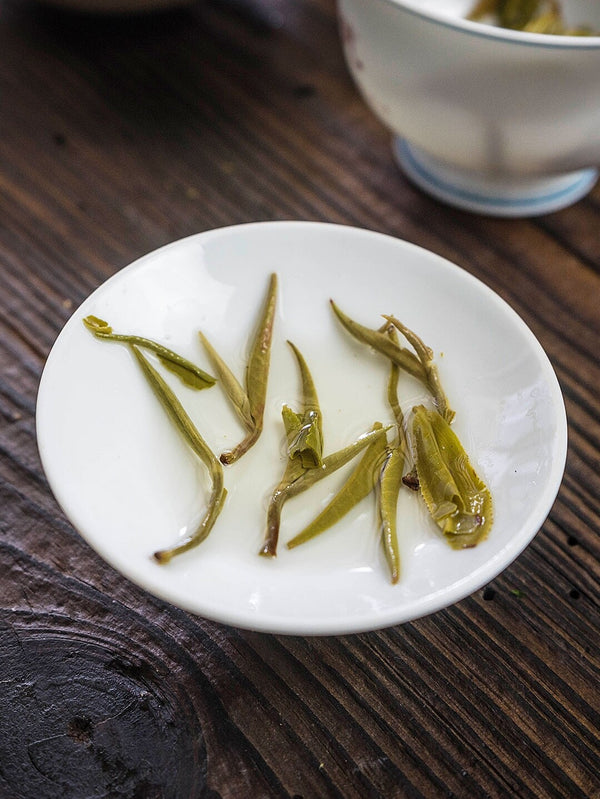 Yunnan Organic Early Spring Snowy Mountain Maofeng Wild Silver Tips Green Tea