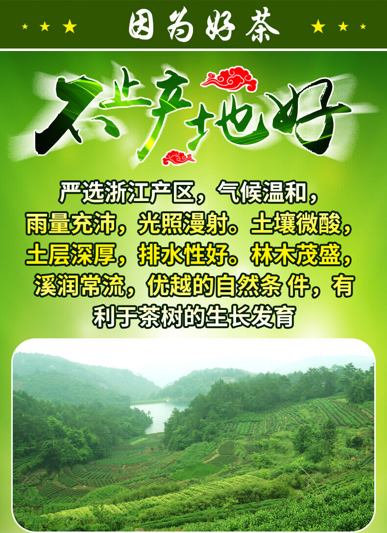 Chinese Premium Dafo Long Jing Dragon Well Green Tea Longjing Loose Tea 250g Tin