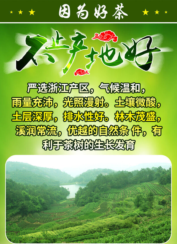 Chinese Premium Dafo Long Jing Dragon Well Green Tea Longjing Loose Tea 250g Tin