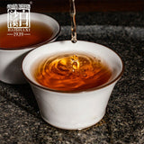 Anhua Baishaxi / Yupin Fucha Classic 1953 Dark Tea Brick Tea 318g