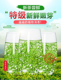 Green Tea Biluochun Tea Spring Tea Organic Fresh Chinese Bi Luo Chun 250g Tin