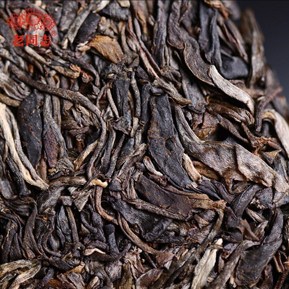 Haiwan Shen Puer Batch 201 "Remote Mountain, Old Tree" Raw Puerh tea 500g