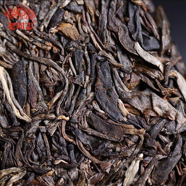 Haiwan Shen Puer Batch 201 "Remote Mountain, Old Tree" Raw Puerh tea 500g