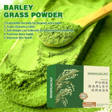 1/3/5PC NEWUREHO  Pure Organic Barley, Barley Grass Powder 100% Pure