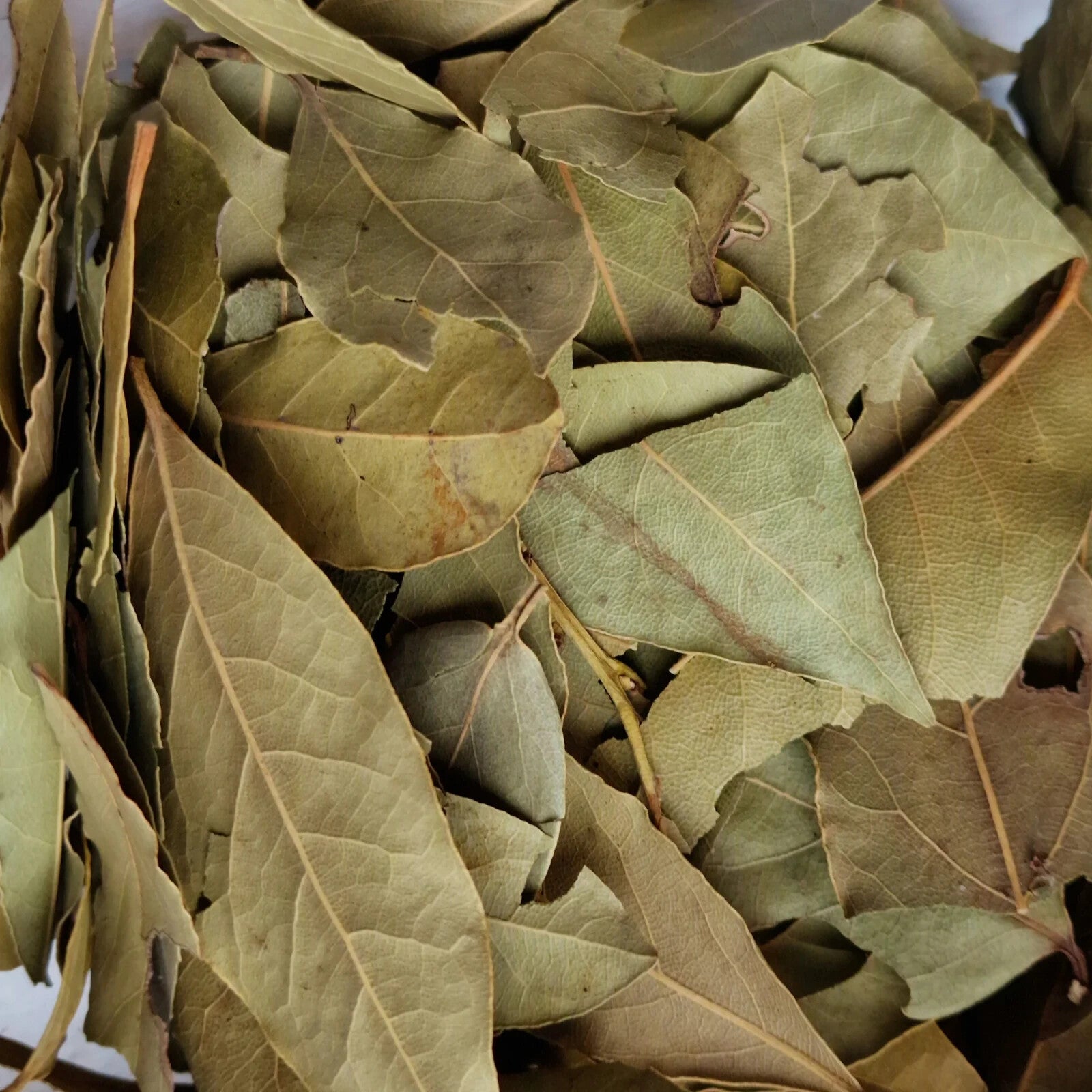 Whole Dried Bay Leaves, Premium Quality Main image