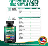 Sea Moss Bundle Black Seed Multivitamin & Shilajit Power Combo USA