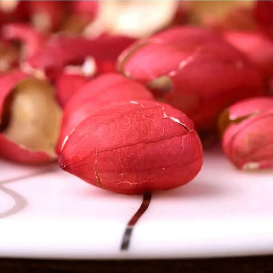 With peanuts red peanut skin long fruit coat peanut skin peanut jacket 17.6oz