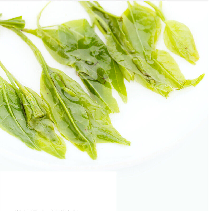 Premium Kuding Tea Bitter Herbal Green Tea Qingshan Lushui Loose Small-leaf 250g
