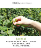 Spring Hunan Specialty Tea Junshan Wang Mingqian Green Tea Maojian 250g Bag
