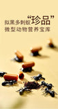 Premium Tien*s Ant Powder Capsules -100% Original, Boost Immunity and Vitality