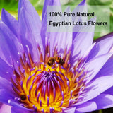 TEARELAE - Natural Blue Lotus Flower From Egyptian Water Lily 1.5 Oz/45g -