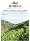 China Phoenix Dancong Yashixiang Oolong Tea Feng Huang Duck Feces Light Flavor