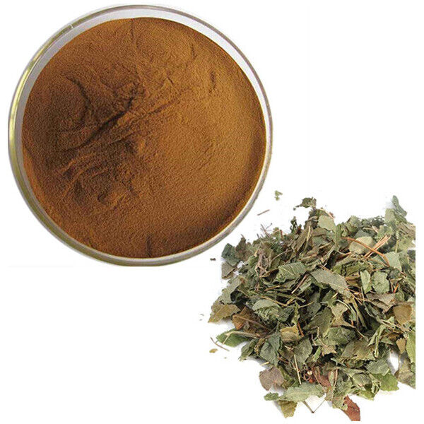 Horny Goat Weed Extrakt (Epimedium) 95% Icariin Hochwertiges Pulver Main image