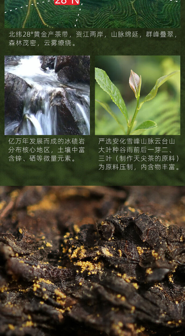 TeaTIAN FU CHA Anhua Baishaxi 1939 Dark Tea Black Tea Gold Flower Tea Brick 1kg