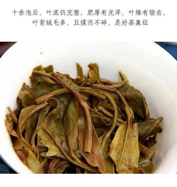 China Tea Emerald 88 Green Cake Banzhang Big Tree Puer Raw Pu'er Qizi 357g