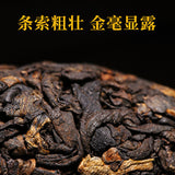 Xin Yi Hao Bulang Mountain 200 Years Old Tree Tuo Cha Ripe Pu-erh Tea 500g