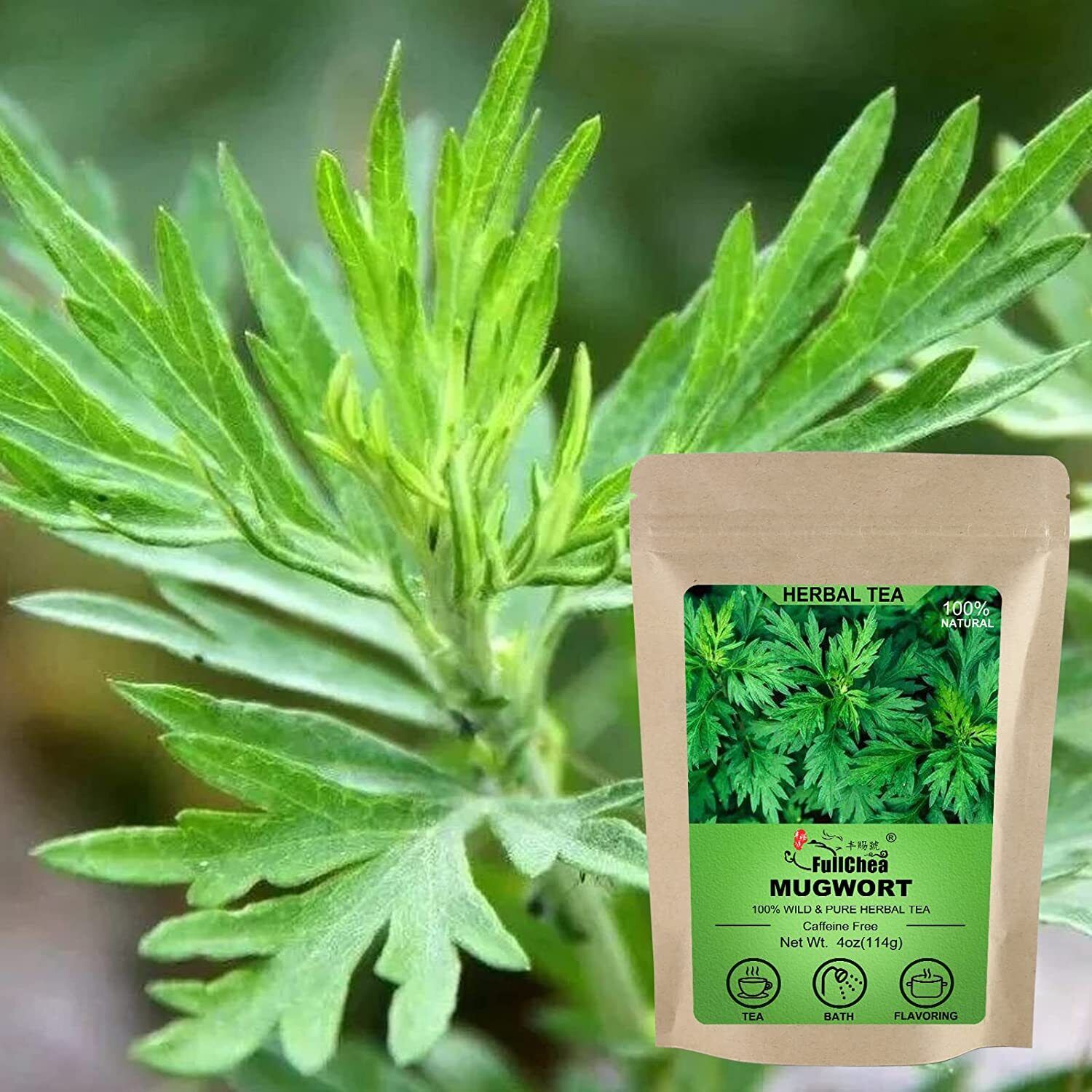 FullChea Dried Mugwort Natural Herb 114g - Superior Dried Mugwort Tea