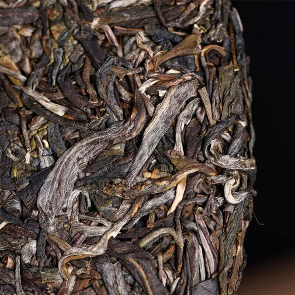 Haiwan Yi Wu Zheng Shan Shen Puerh Ma Hei Famous Old Tree Raw Puer Tea 500g