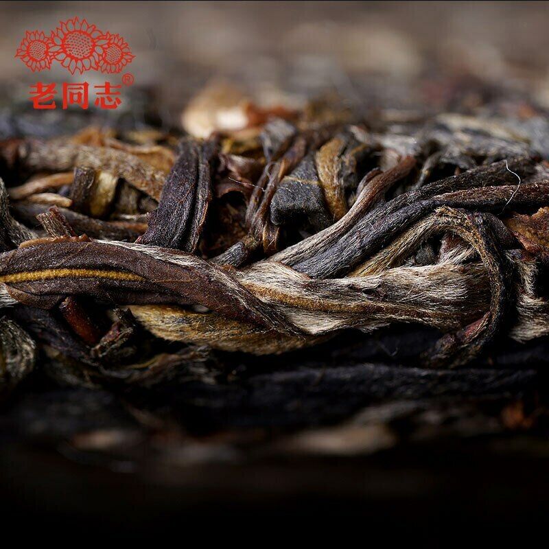 Haiwan Sheng Puer Tea Dong Guo Village Ancient Tree Raw Puerh Tea 500g