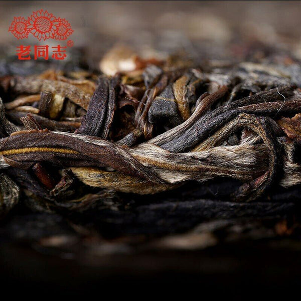 Haiwan Sheng Puer Tea Dong Guo Village Ancient Tree Raw Puerh Tea 500g