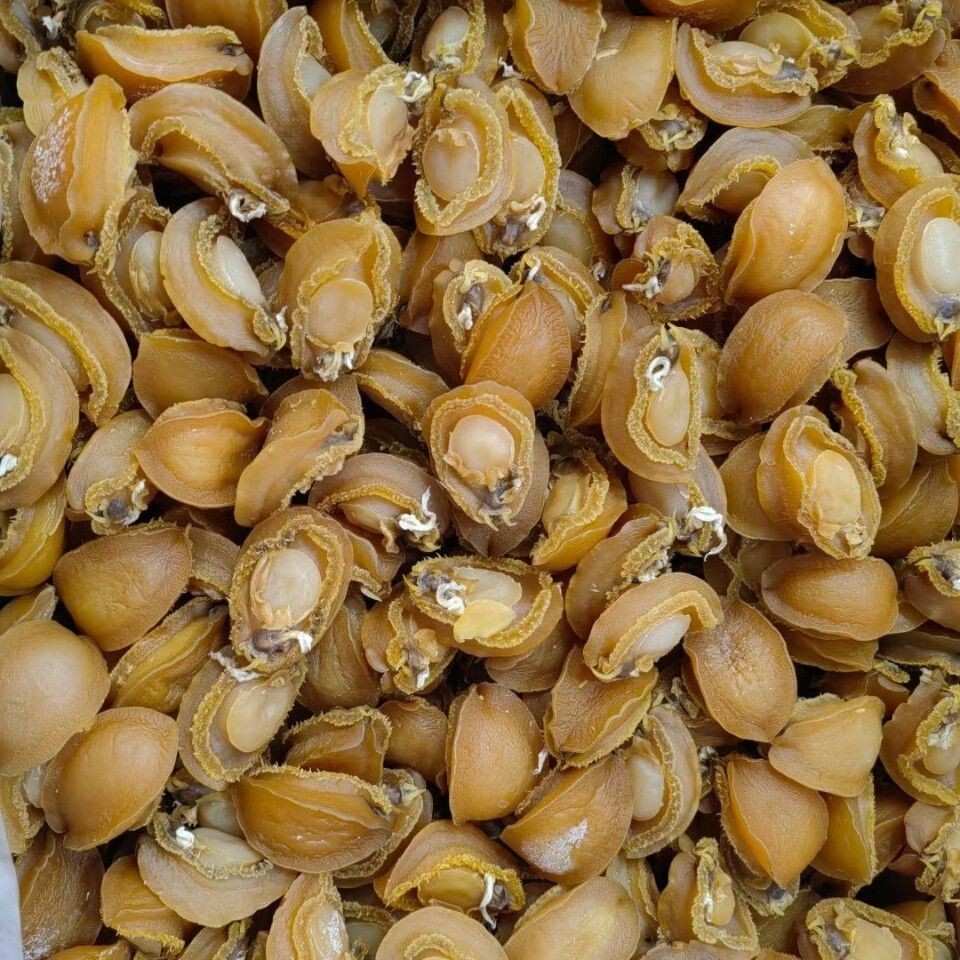 250g Natural dried abalone (25pcs) Main image