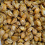 250g Natural dried abalone (25pcs)