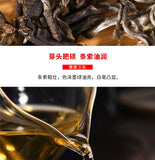 2021 Haiwan Zhang Jia San Dui Puer Raw Tea Bulang Famous Mountain Aged Tree 500g