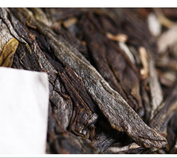 Haiwan Yi Wu Zheng Shan Ma Hei Famous Old Tree Shen Puer Tea Raw Pu'er 500g