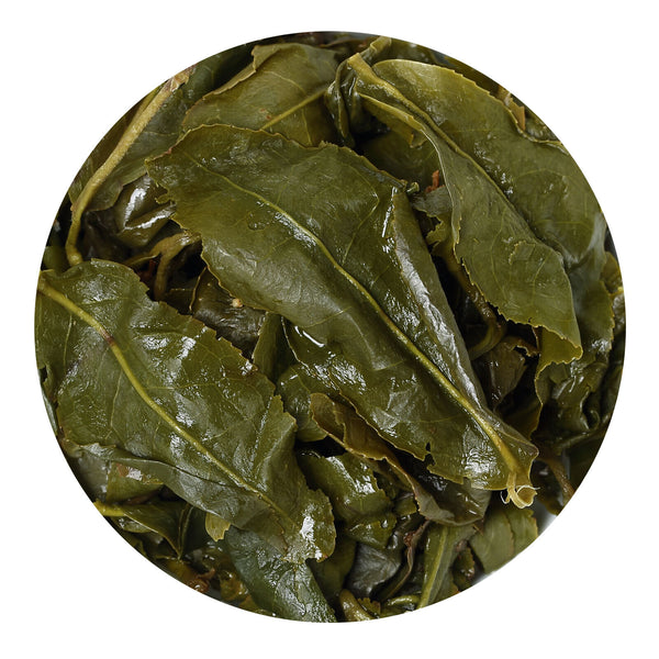 GOARTEA 10Pcs 8g/2.8oz Supreme Taiwan Milk Oolong Tee Milch Jinxuan Grüner Tea