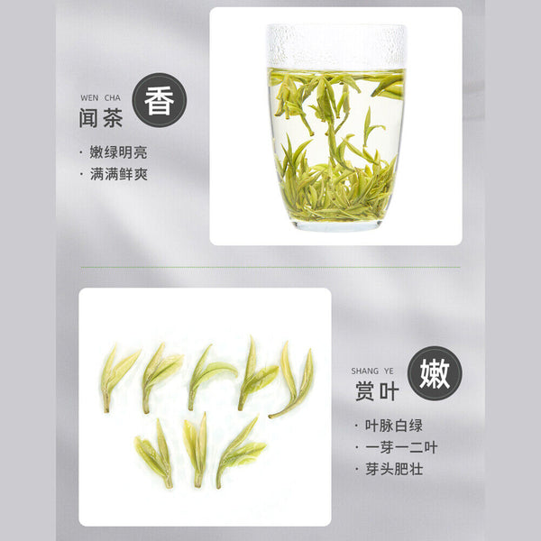100g Anji White Tea Baich Green Tea Health艺福堂安吉白茶a明前精品 EFU12+ 天仙白新茶 珍稀嫩芽春绿茶