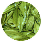 HELLOYOUNG 100g Supreme Anji Baicha Baipian White Slice Tea Spring GREEN TEA