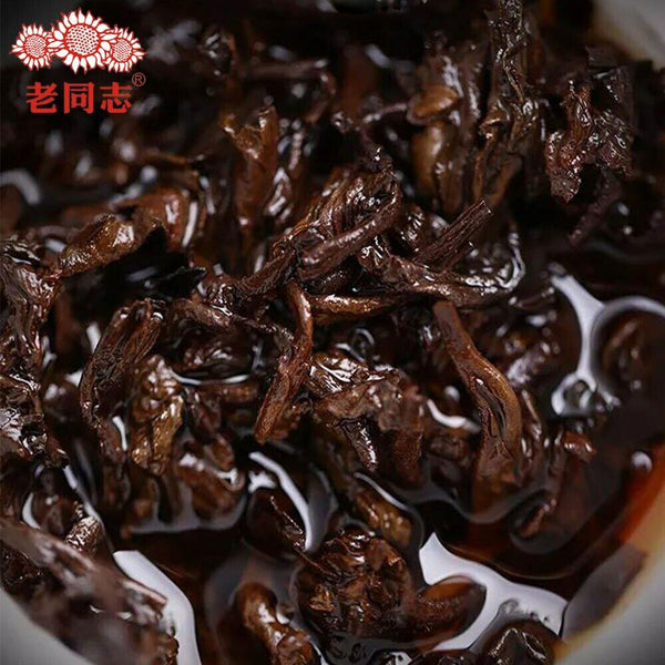 Haiwan Te Puer Liang Gong Peng Tu Shou Puerh 400g