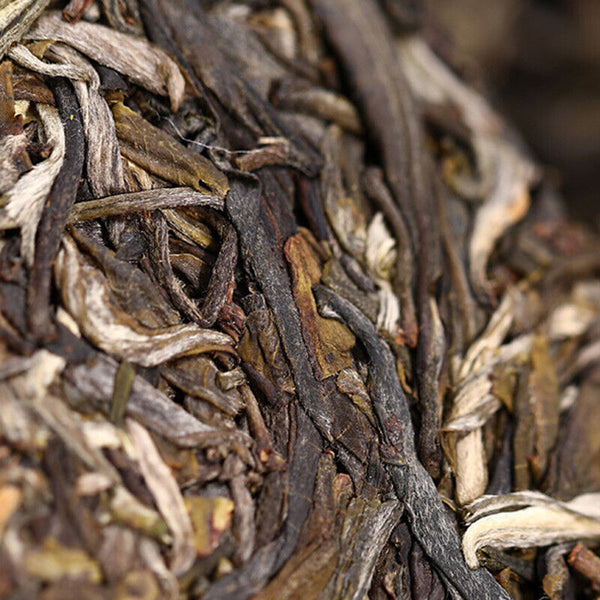 Haiwan Zhang Jia San Dui Puer Raw Tea Bulang Famous Mountain Aged Tree 500g