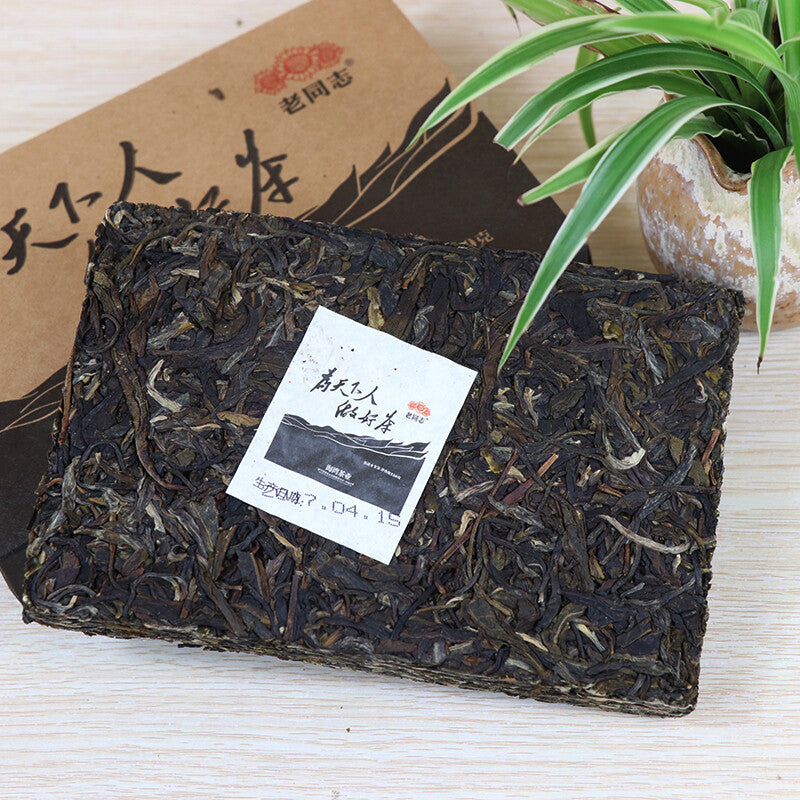 250g Raw Puerh Tea Brick Haiwan Old Comrade Tea