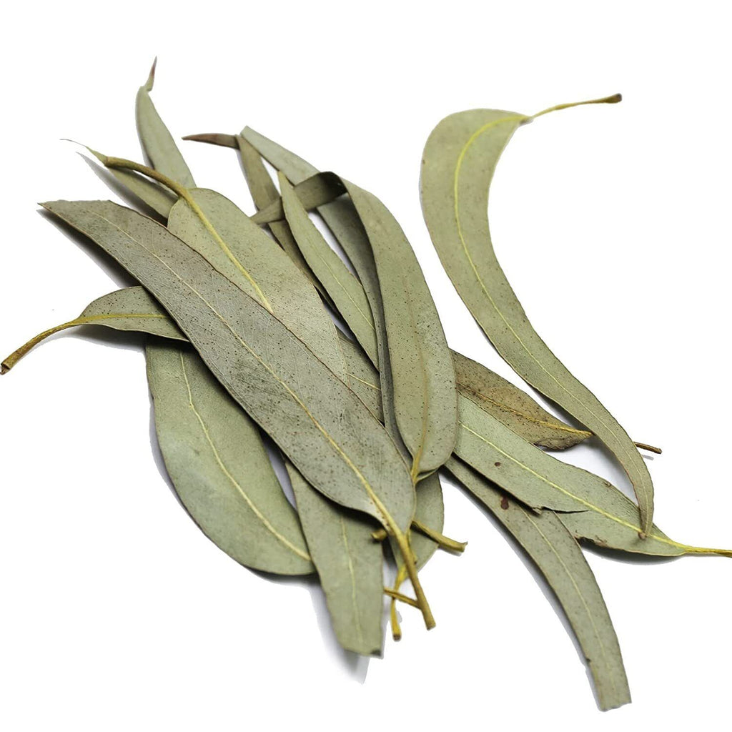 FullChea Dried Eucalyptus Leaves 114g Hojas de Eucalipto Herb Whole Leaf