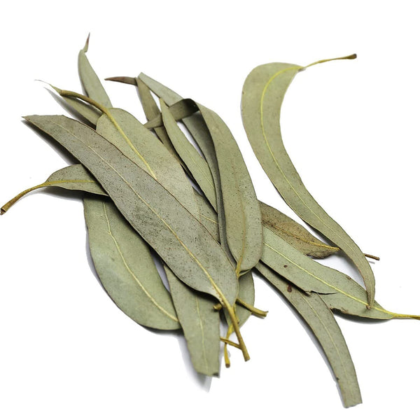 FullChea Dried Eucalyptus Leaves 114g Hojas de Eucalipto Herb Whole Leaf