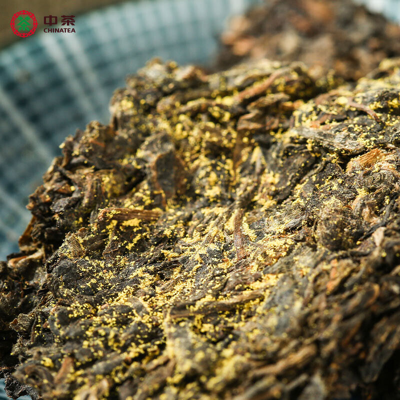CHINATEA Brand MM Hunan Anhua Golden Flowers Fucha Dark Tea 360g Brick Fu Zhuan