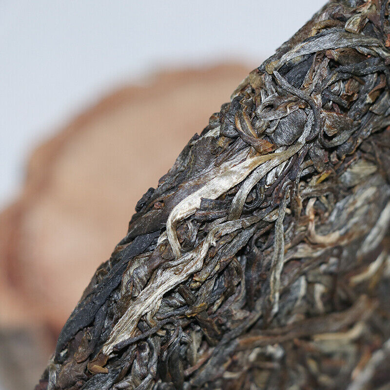 Yunnan Lincang Big Snow Mountain Big Tree Spring Puer Pu'er Tea Raw 357g