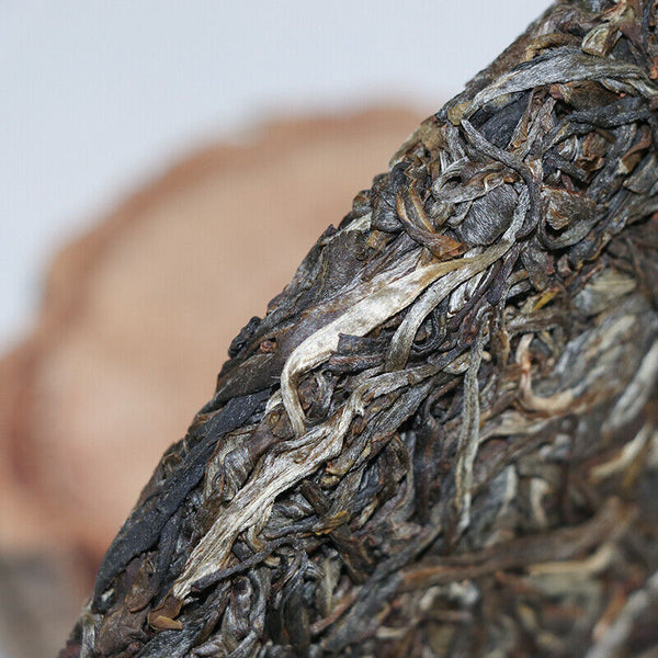 Yunnan Lincang Big Snow Mountain Big Tree Spring Puer Pu'er Tea Raw 357g