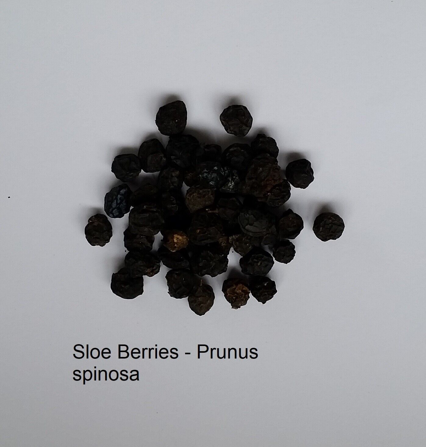 SLOE BERRIES WILDCRAFTED 250g Prunus spinosa Blackthorn Gin Preserves Jam berry Secondary image