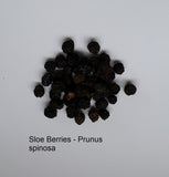 SLOE BERRIES WILDCRAFTED 250g Prunus spinosa Blackthorn Gin Preserves Jam berry