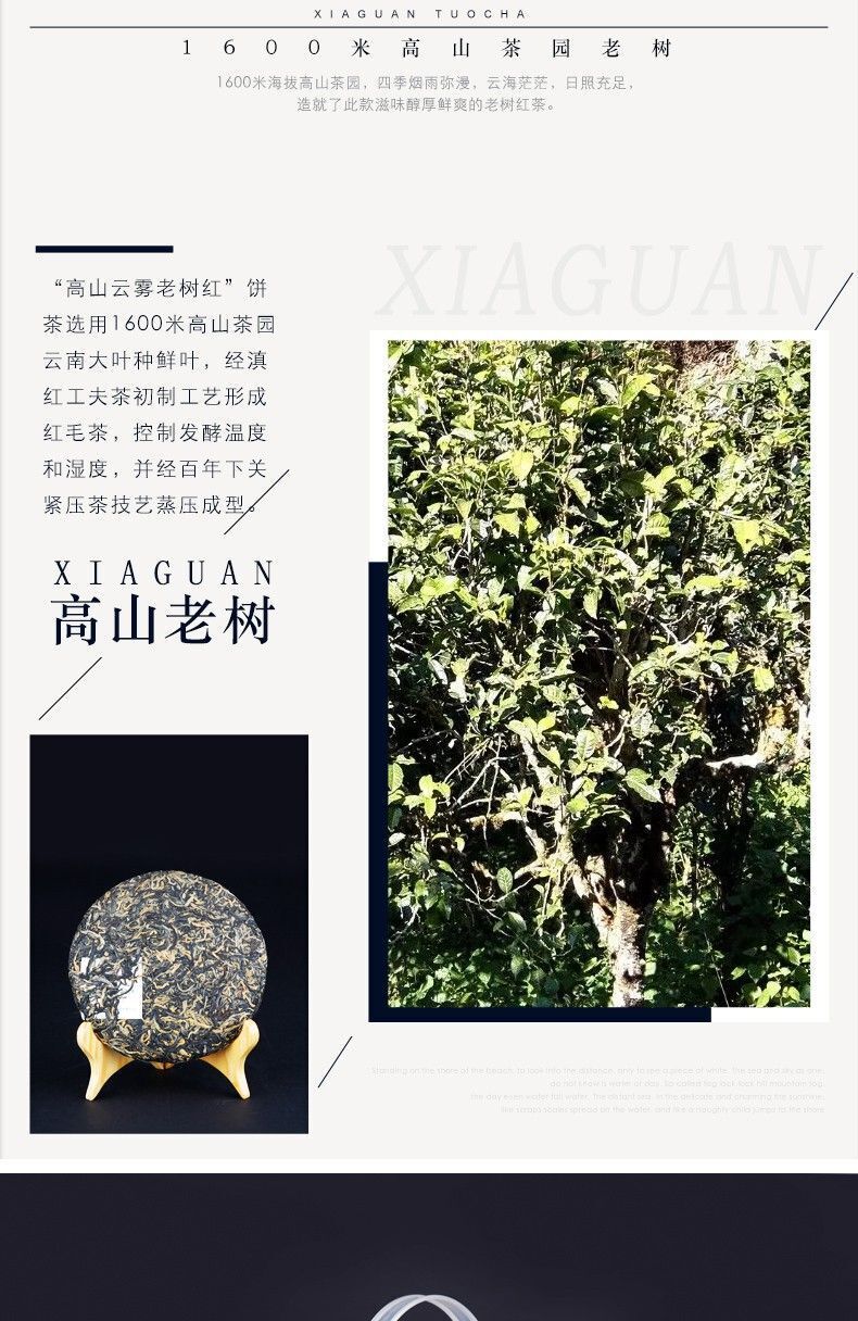 TeaXiaguan Yunnan Kung Fu Dian Hong Red Tea Old Tree Black Tea Dianhong 200g