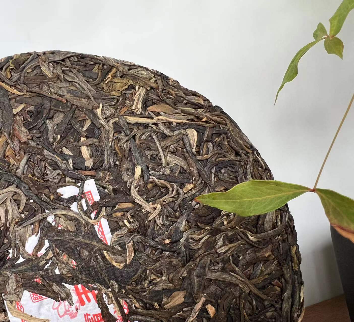 Ba Wang Qing Bin (Overlord Green Cake)  Chensheng Hao Pu-erh Tea Raw 357g