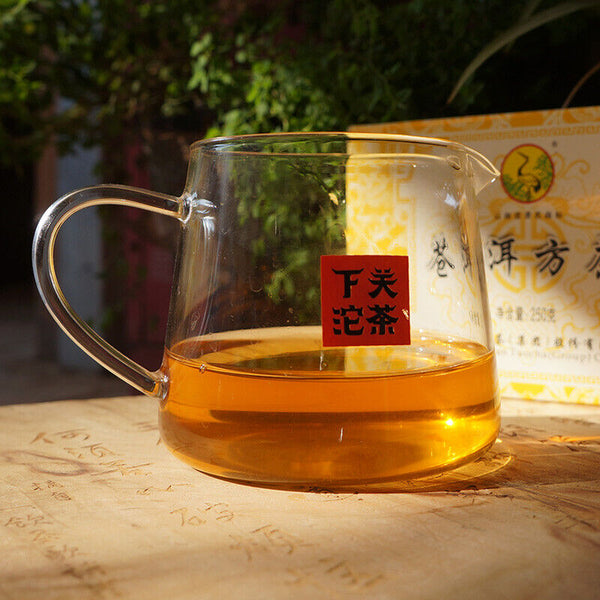 Xiaguan Tuocha Raw Cang Er Fang Zhuan Tea Shen Pu Erh Aged Tea Brick 250g