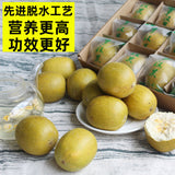 Freeze-drying Monk Fruit 12pcs 广西特产脱水黄金罗汉果