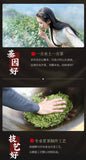 XI HU Brand Yu Qian 3rd Grade Nong Xiang Long Jing Dragon Well Green Tea 250g