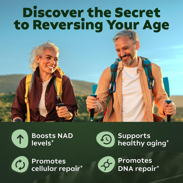 NAD+ Supplement Energie, Fokus Booster Nicotinamid Ribosid