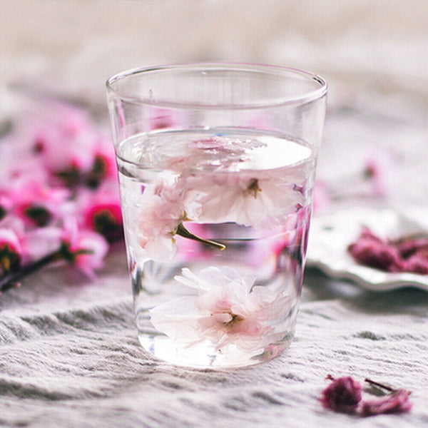 Japan Choke Cherry Blossom PinkCherry Blossom Traditional Everlasting Flower Tea