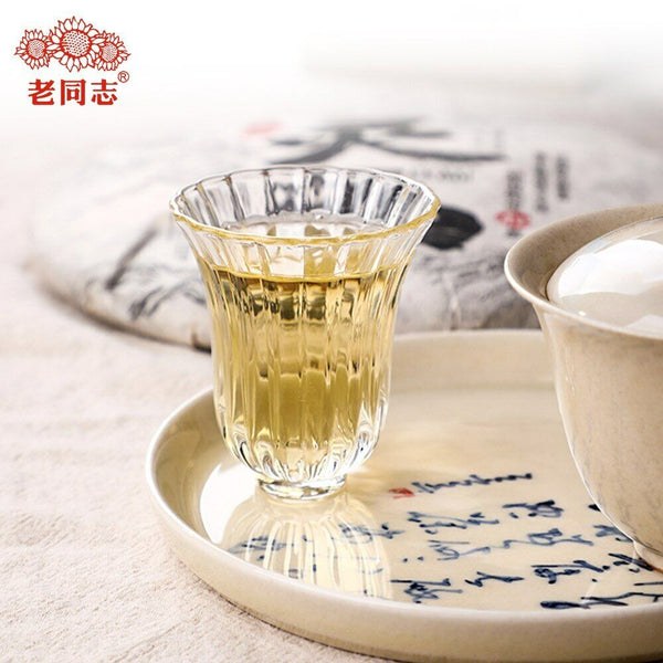 Haiwan The Gathering of Plant Spirit Raw Puer Excellent Shen Puerh Tea 400g